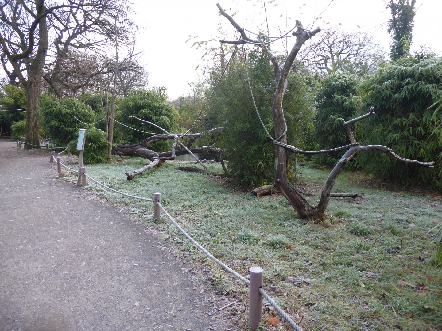 Lemur walkthrough 011219