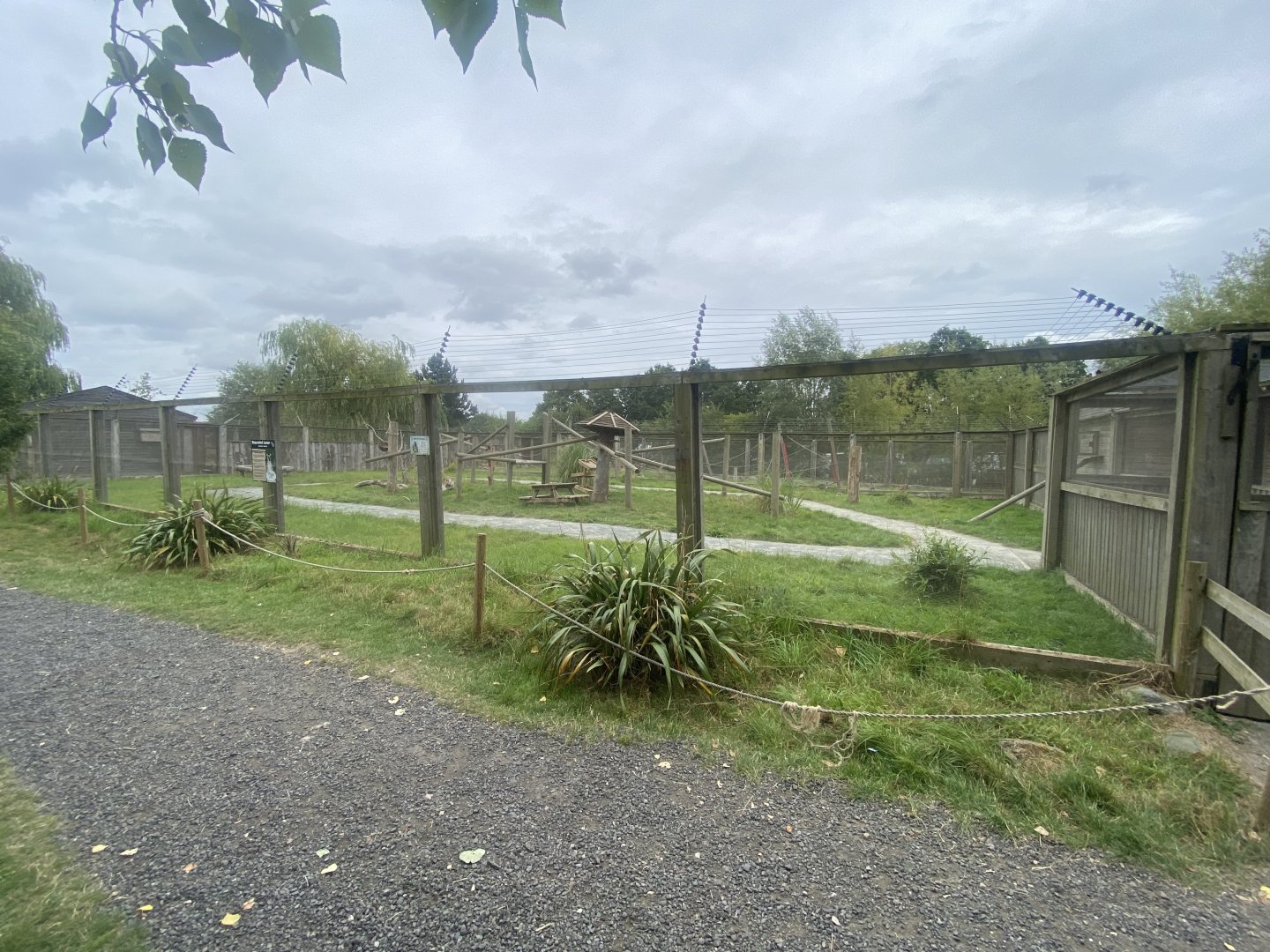 Lemur walkthrough 040824