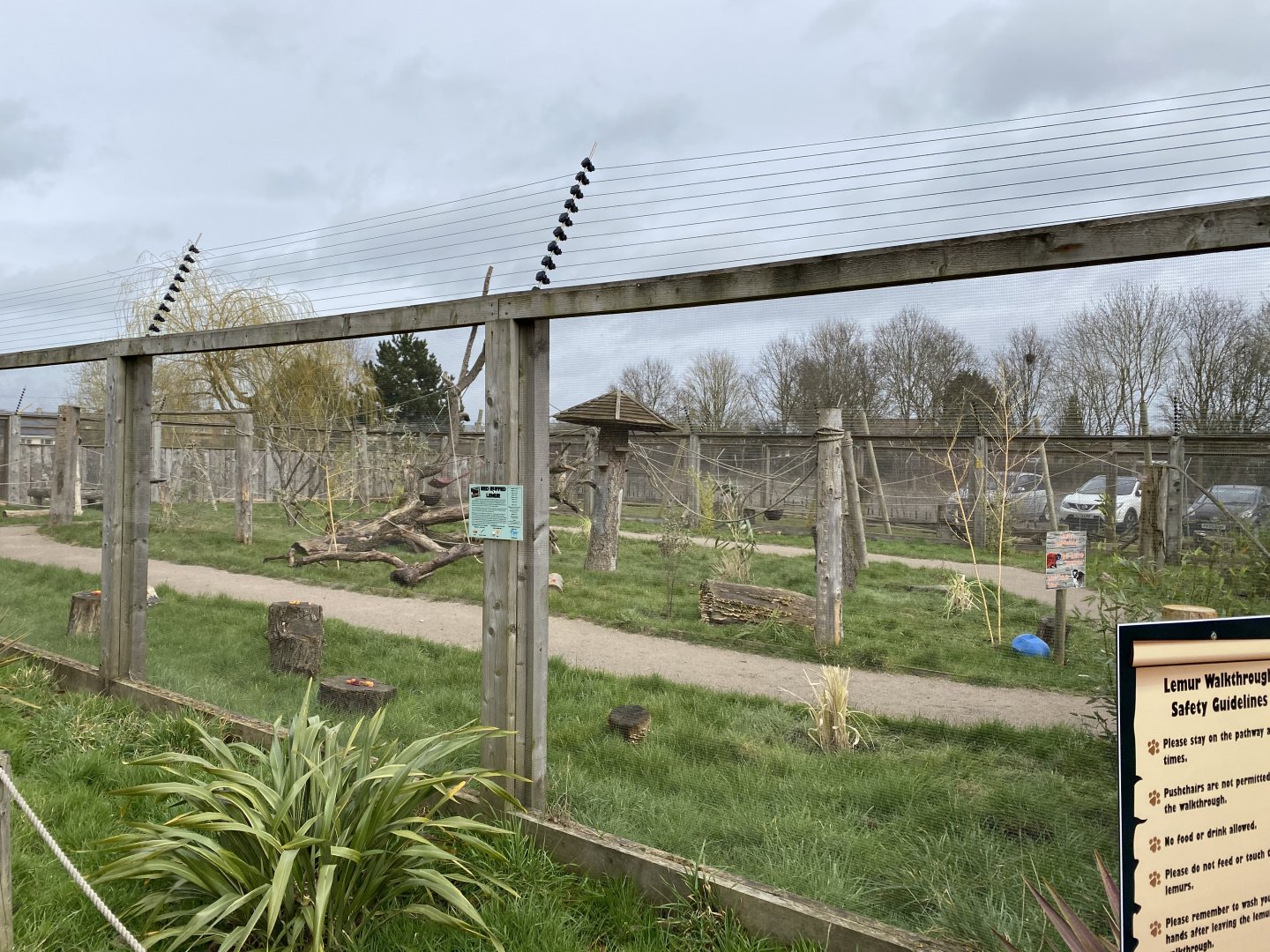 Lemur walkthrough 070320