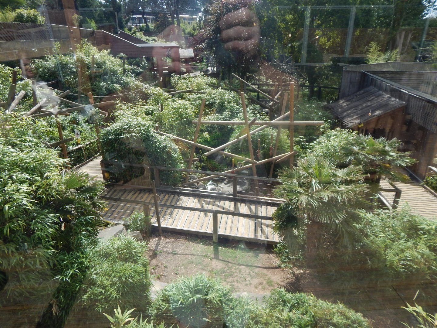 Lemur Walkthrough 110925