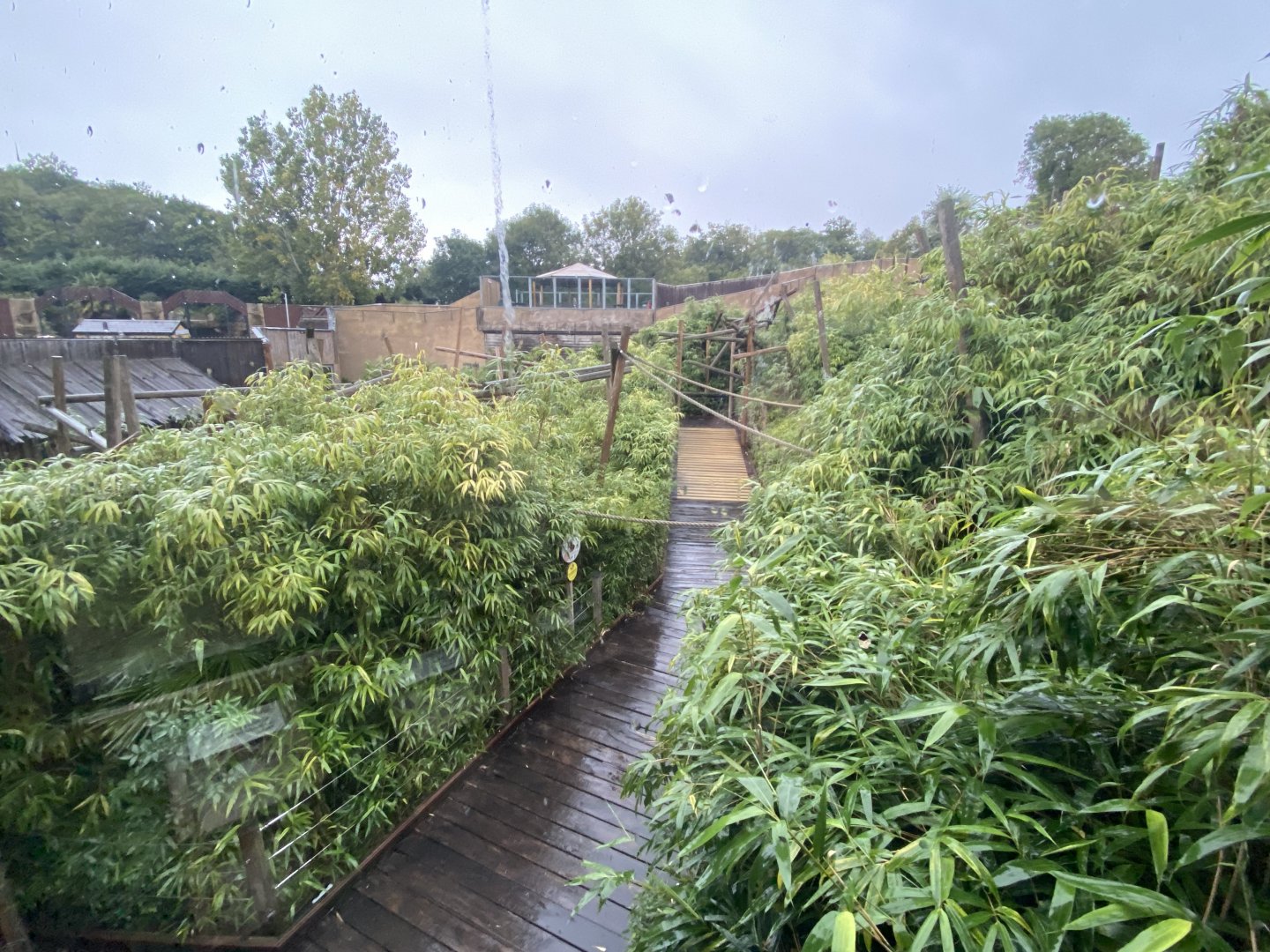 Lemur Walkthrough 110925