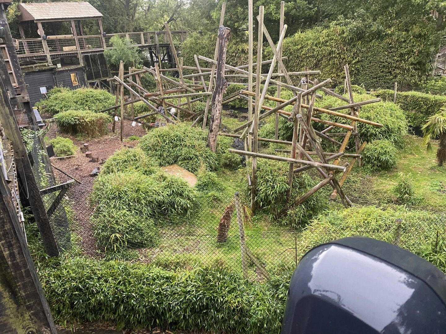 Lemur Walkthrough 110925