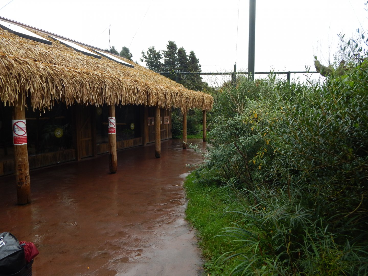 Lemur walkthrough 191021