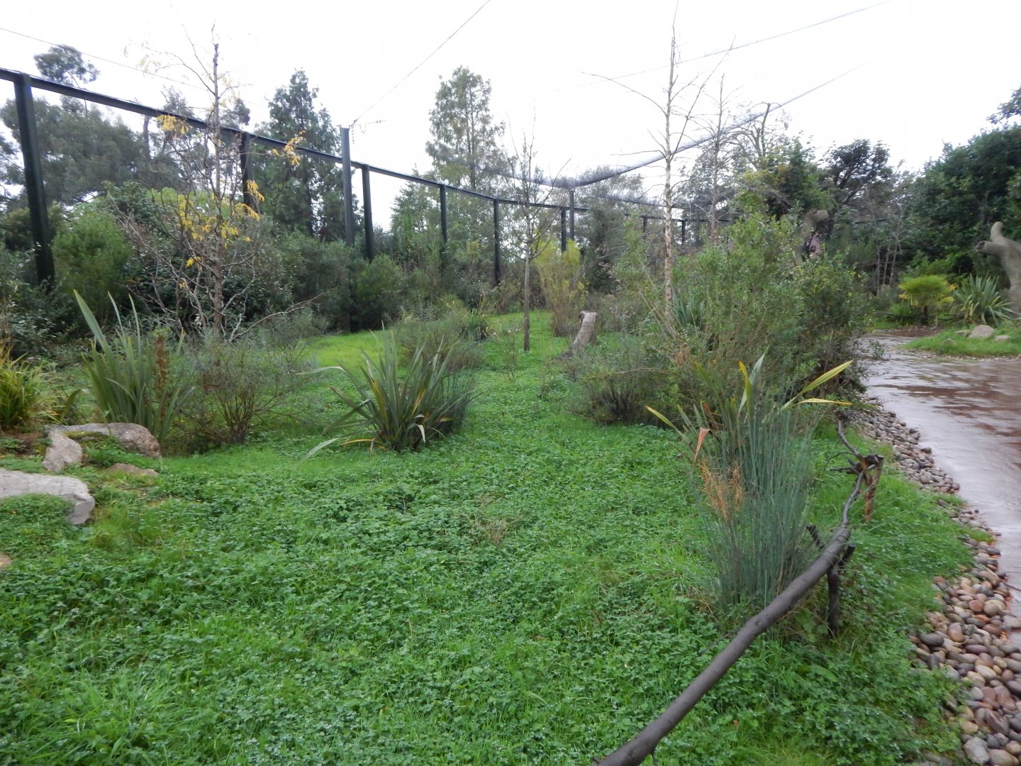 Lemur walkthrough 191021