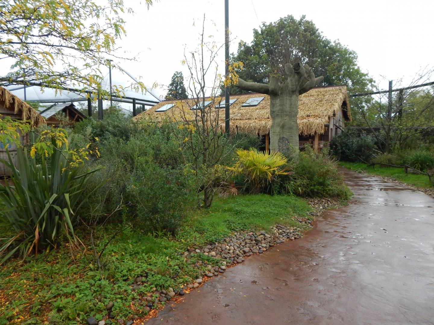 Lemur walkthrough 191021