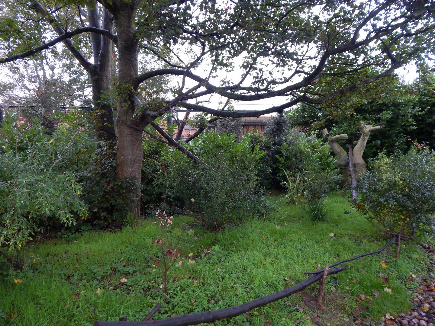 Lemur walkthrough 191021