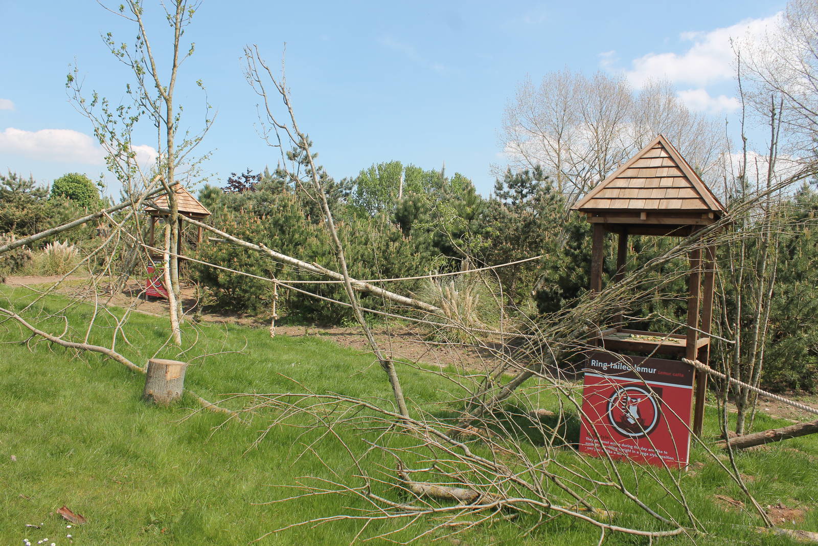 Lemur walkthrough 2013