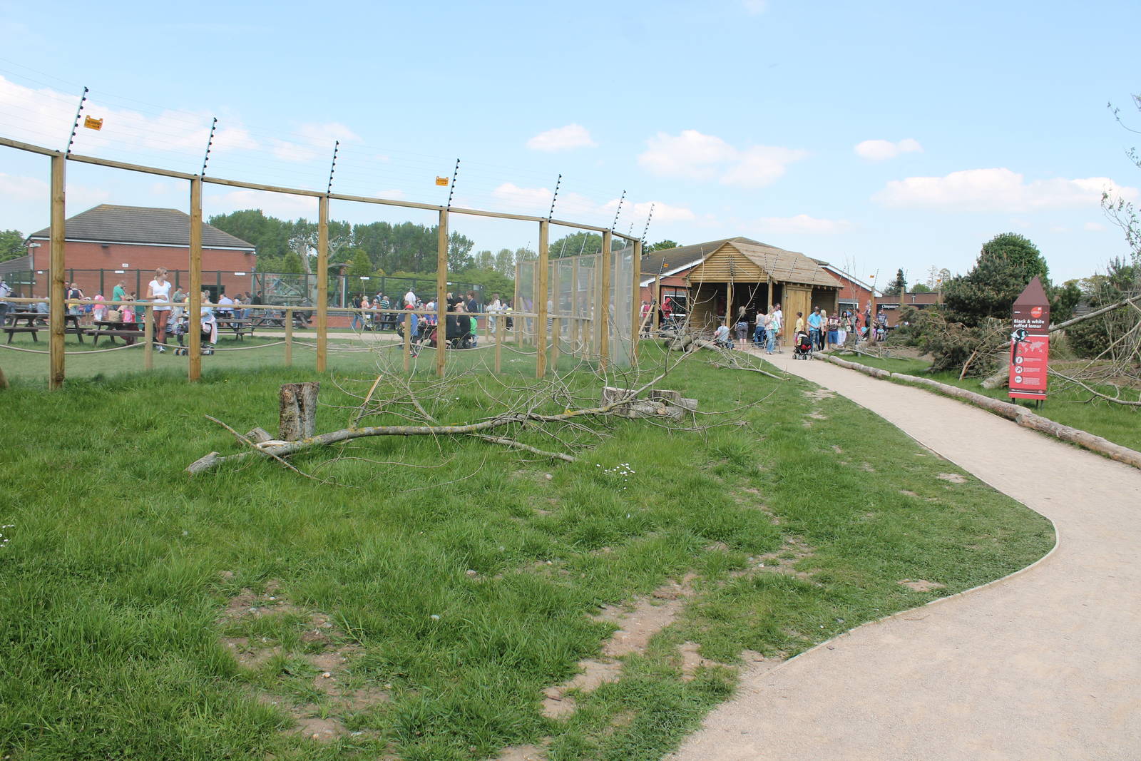 lemur walkthrough 2013