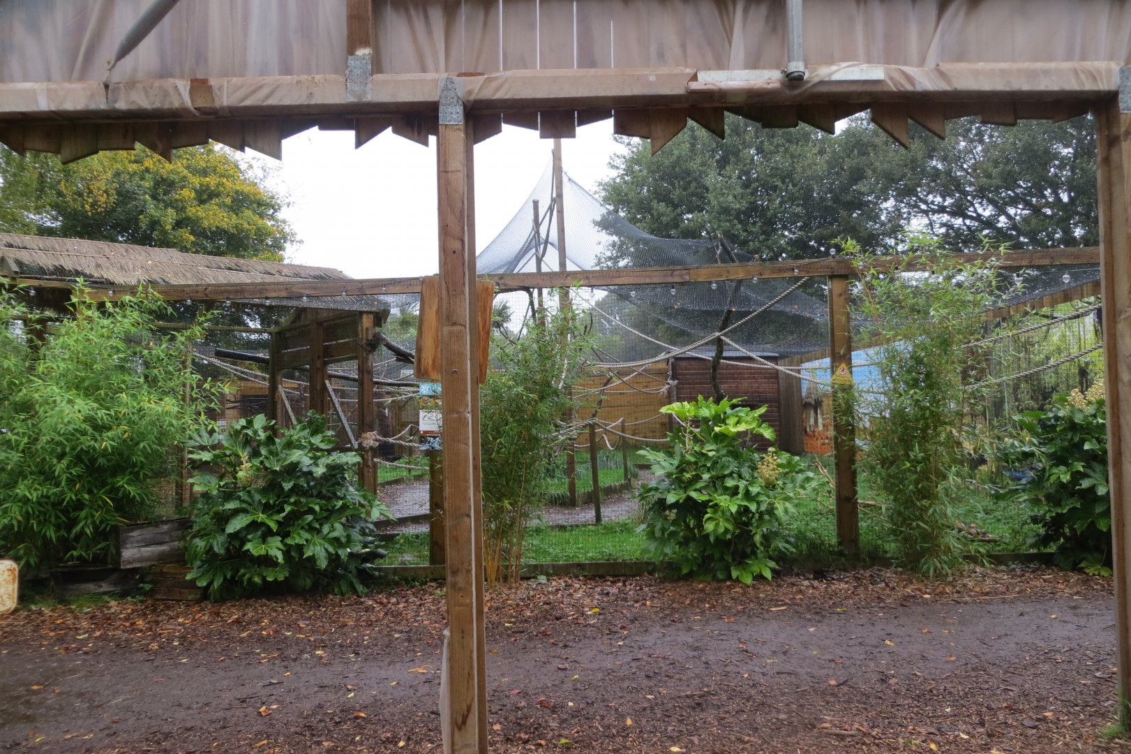 Lemur walkthrough 251019