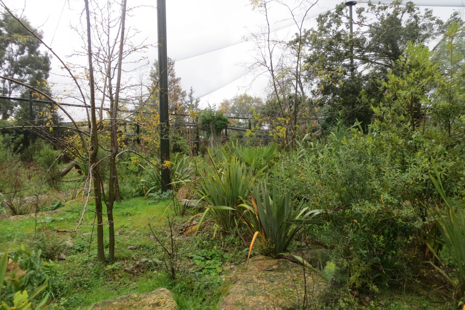 Lemur walkthrough 261019