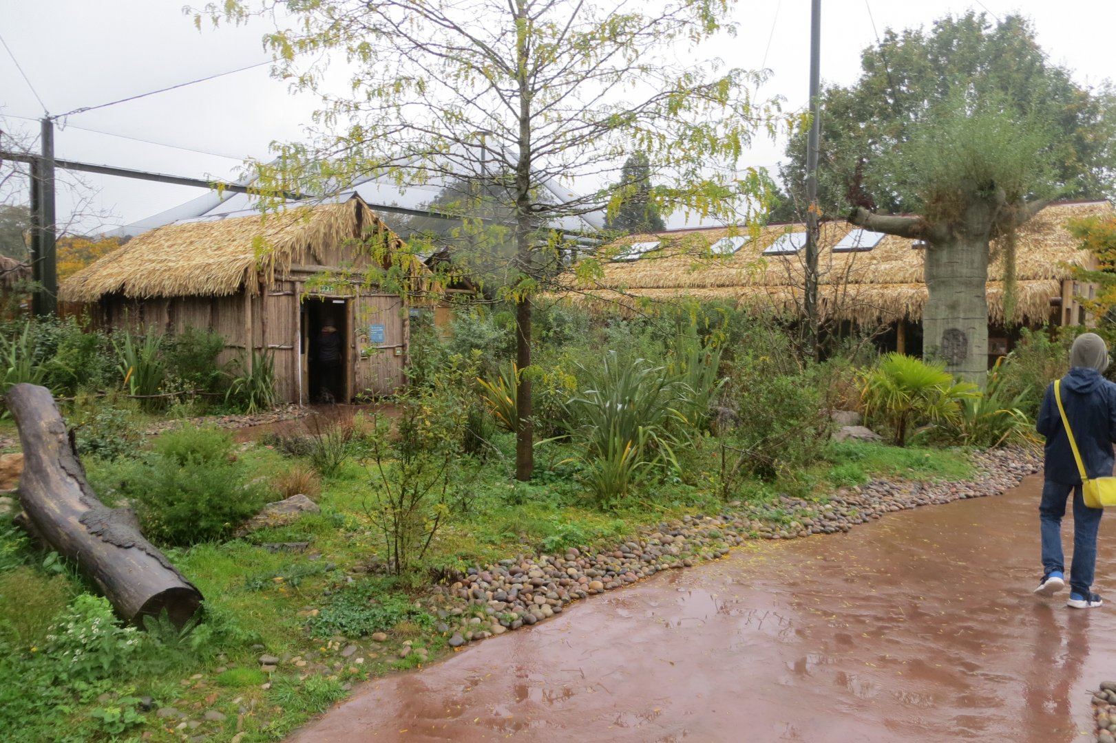 Lemur walkthrough 261019