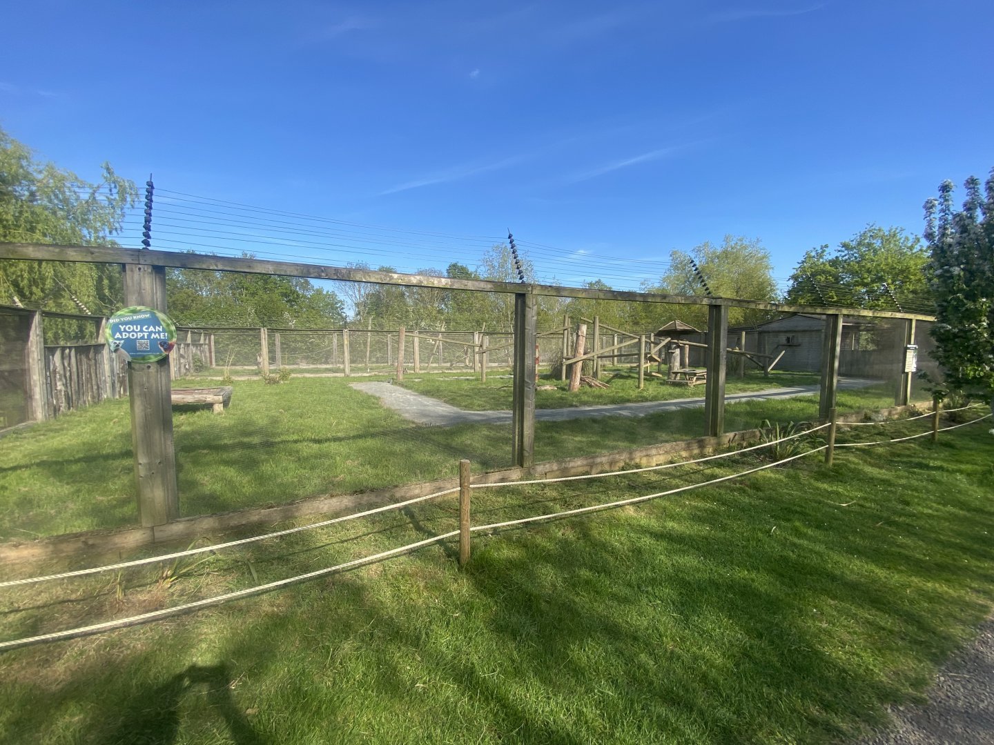 Lemur walkthrough 280425