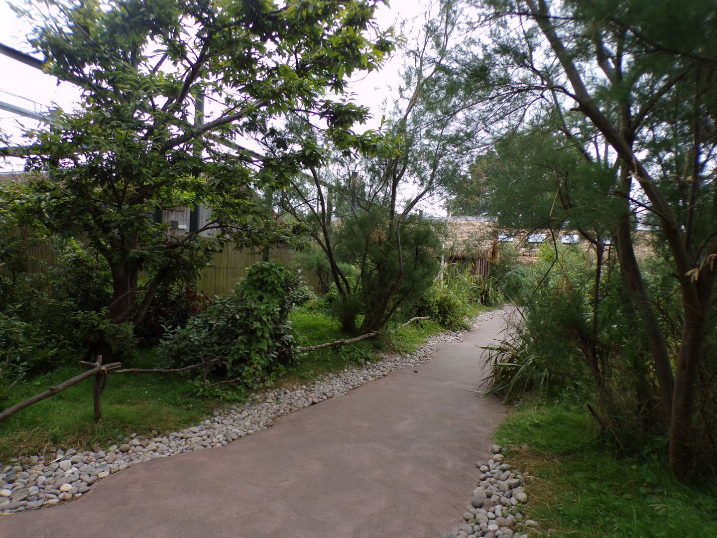 Lemur walkthrough 29.6.24