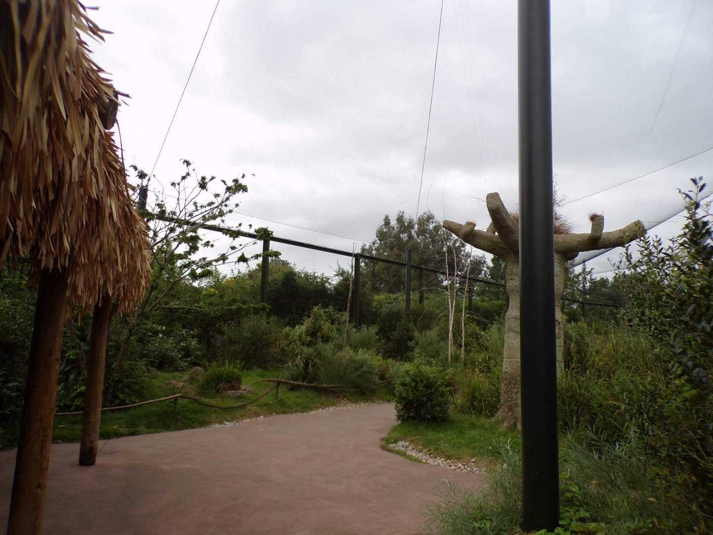 Lemur walkthrough 29.6.24