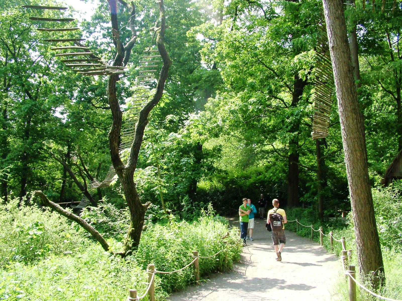 Lemur Walkthrough at Apenheul, 30/05/12