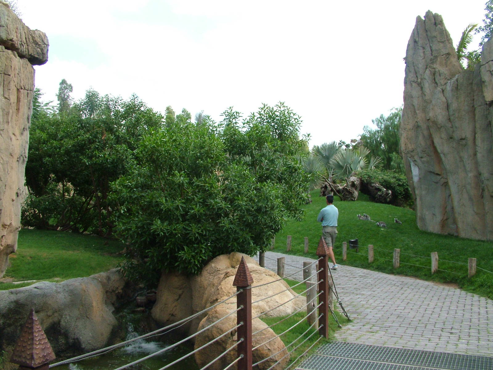 Lemur Walkthrough at Bioparc Valencia, 28/05/11