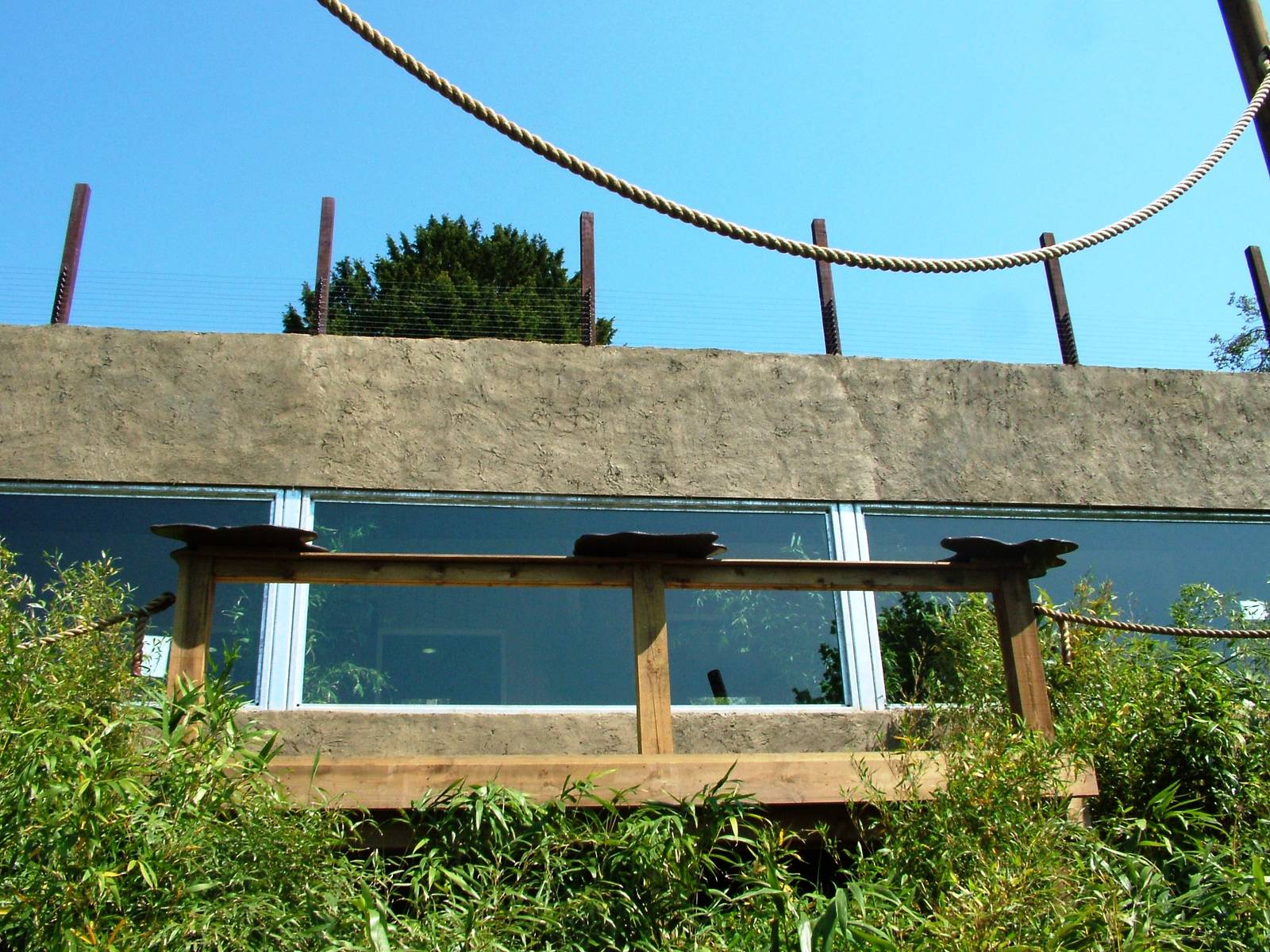 Lemur Walkthrough at Colchester, 28/05/12