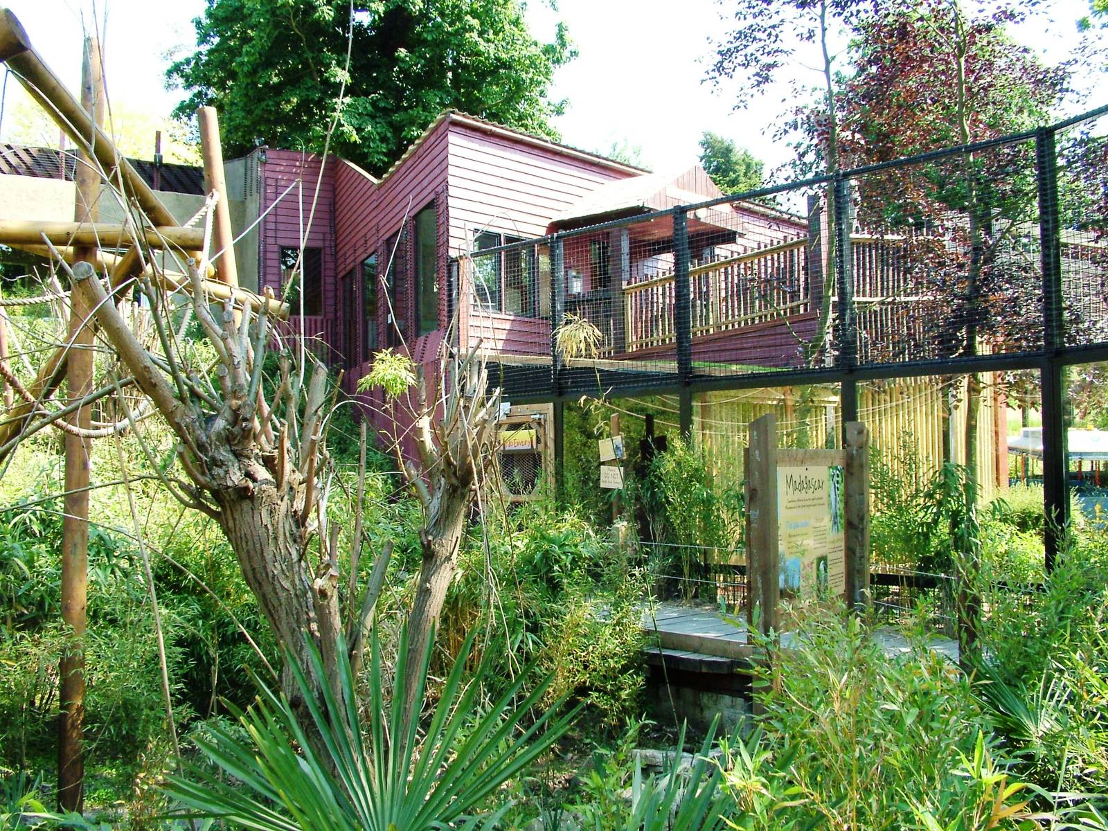 Lemur Walkthrough at Colchester, 28/05/12