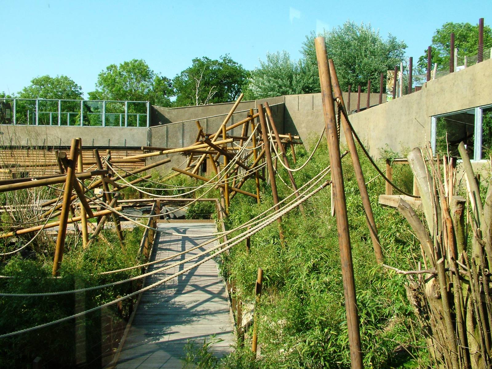 Lemur Walkthrough at Colchester, 28/05/12