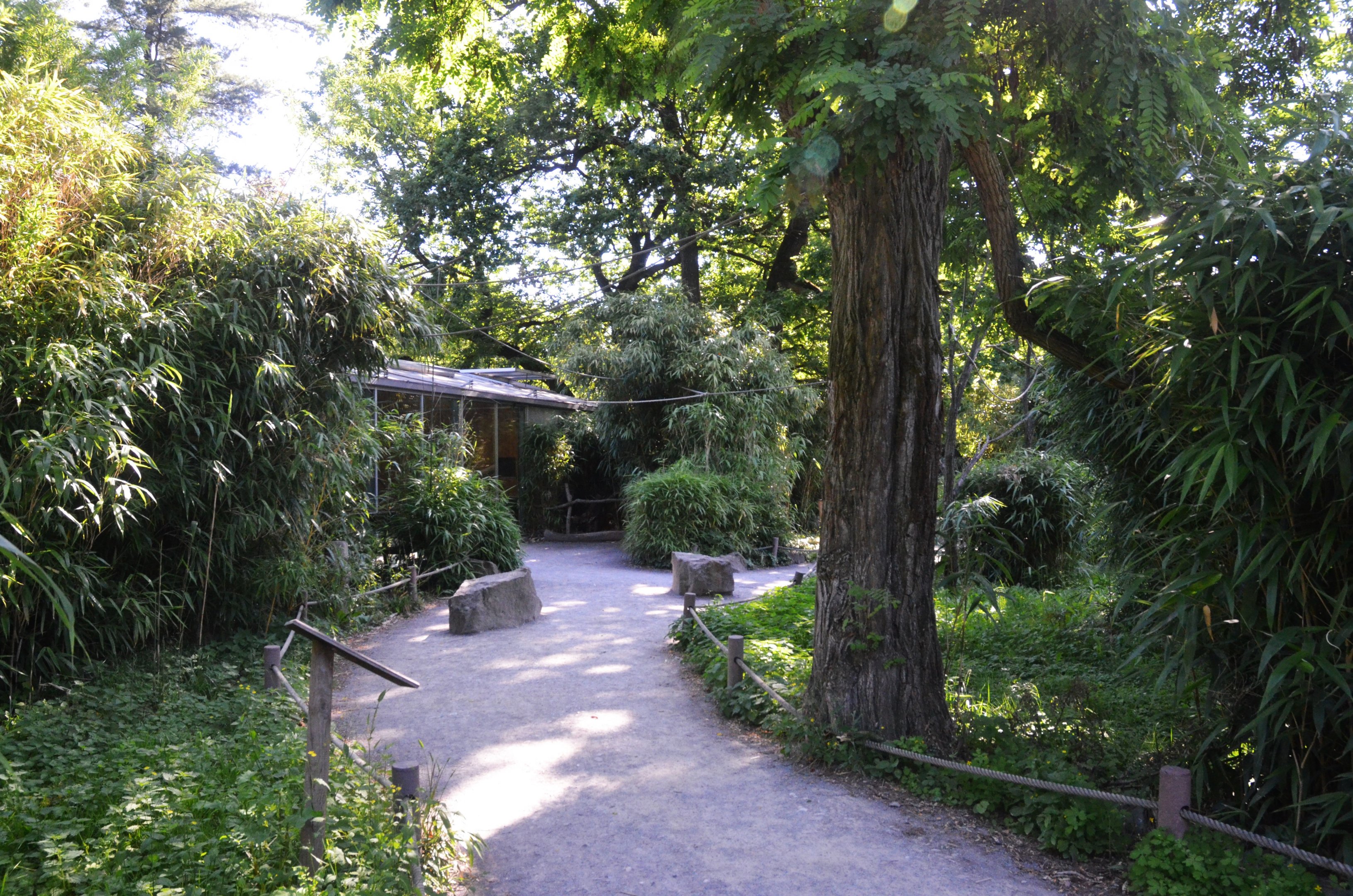 Lemur Walkthrough at Duisburg, 17/06/19
