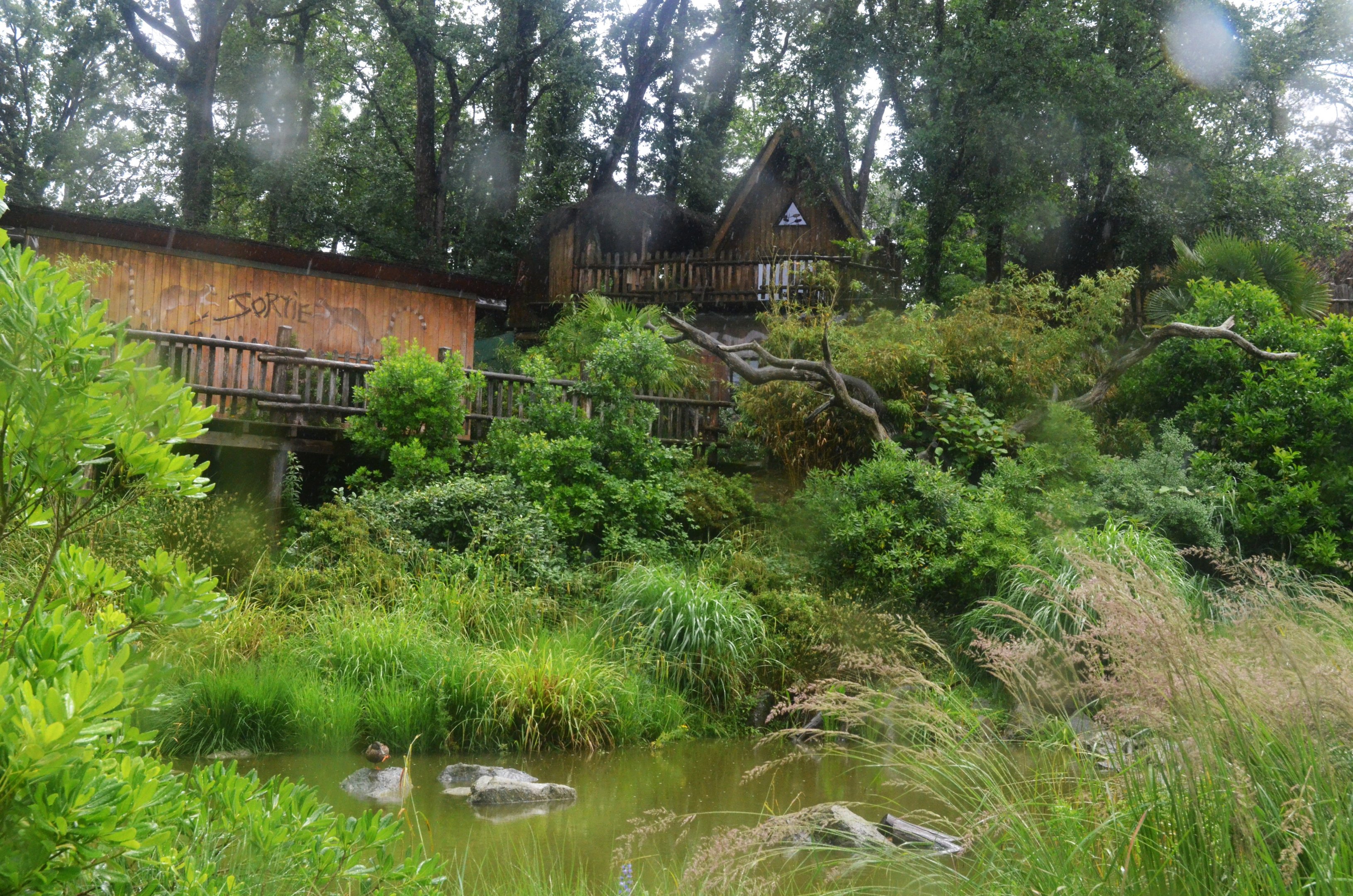 Lemur Walkthrough at La Flèche, 11/06/18