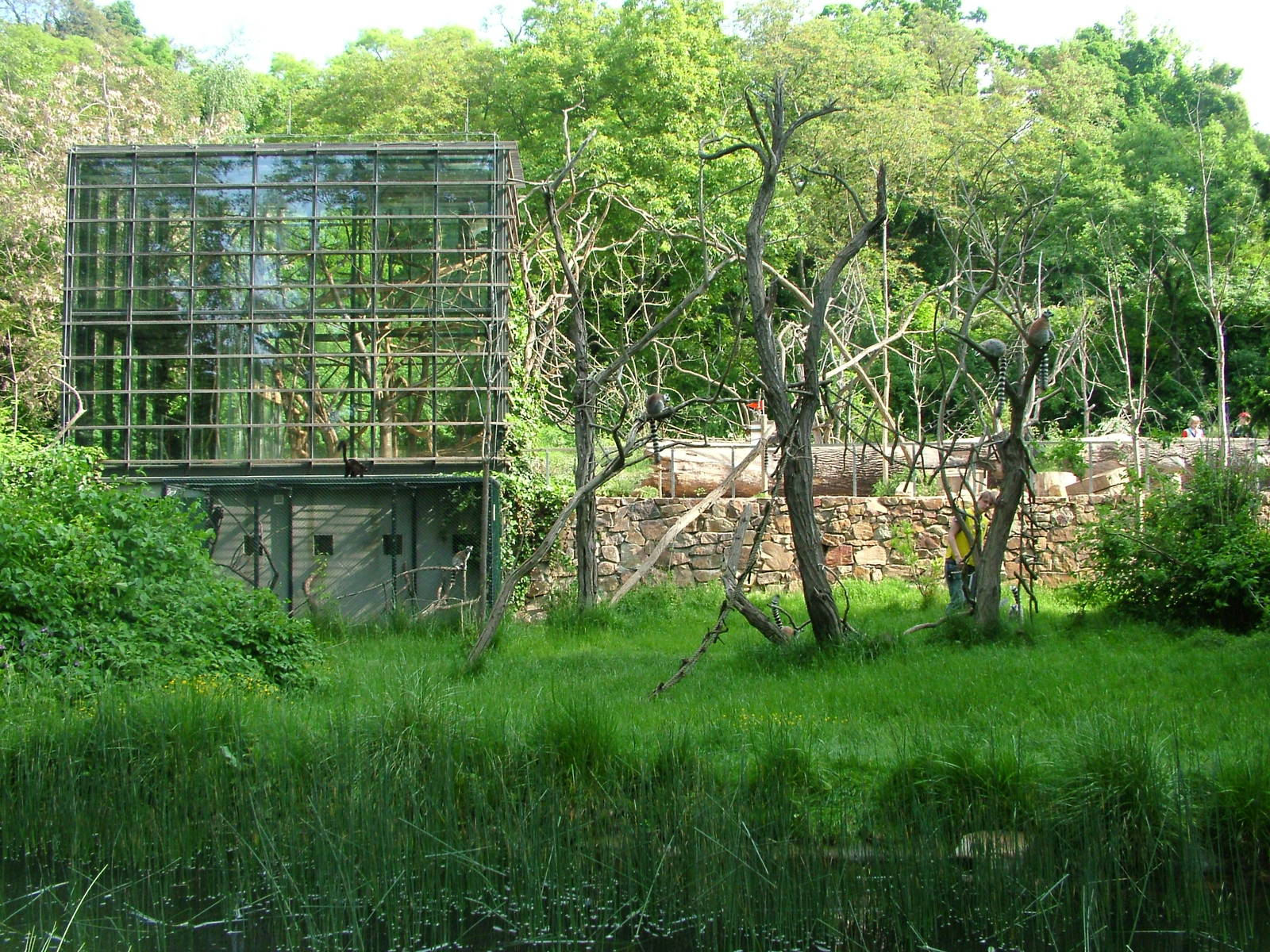 Lemur walkthrough at Prague, 24/05/10