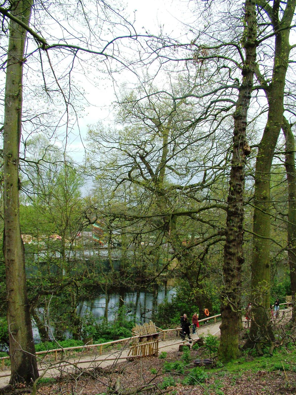 Lemur Walkthrough at West Mids, 05/05/12