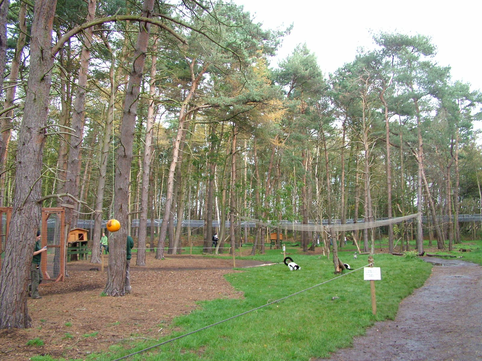 Lemur walkthrough at Yorkshire WP 31/10/09