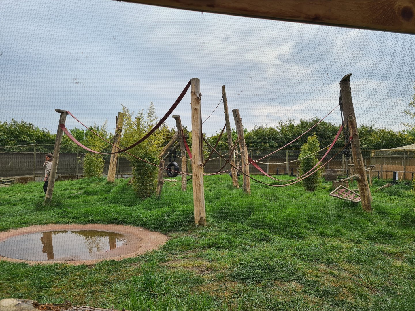 Lemur walkthrough, Call of the Wild