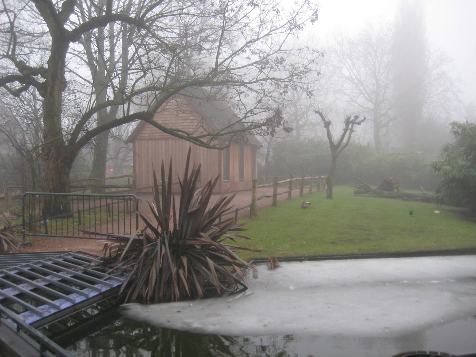 Lemur walkthrough (closed for the day)