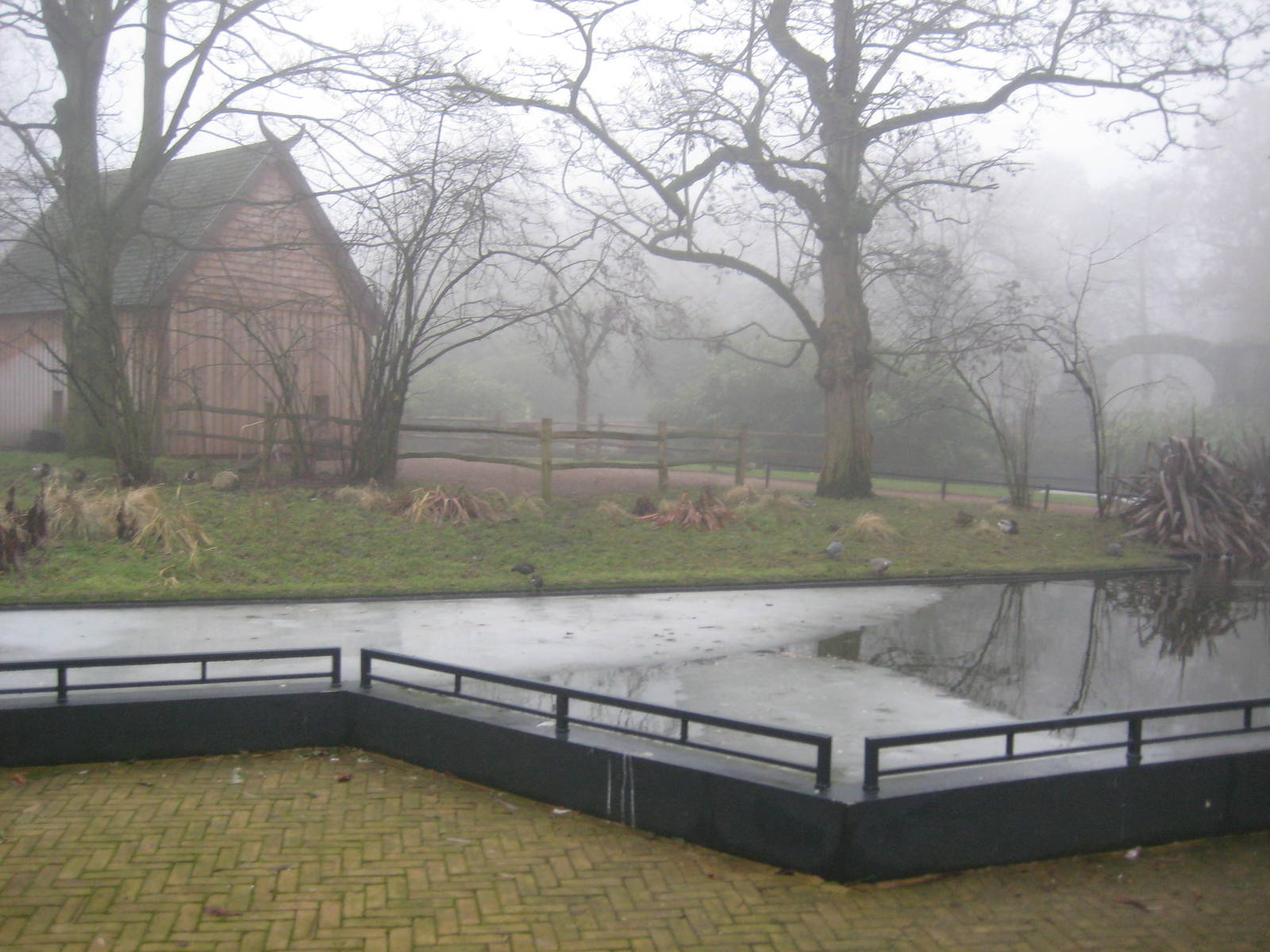 Lemur walkthrough (closed for the day)