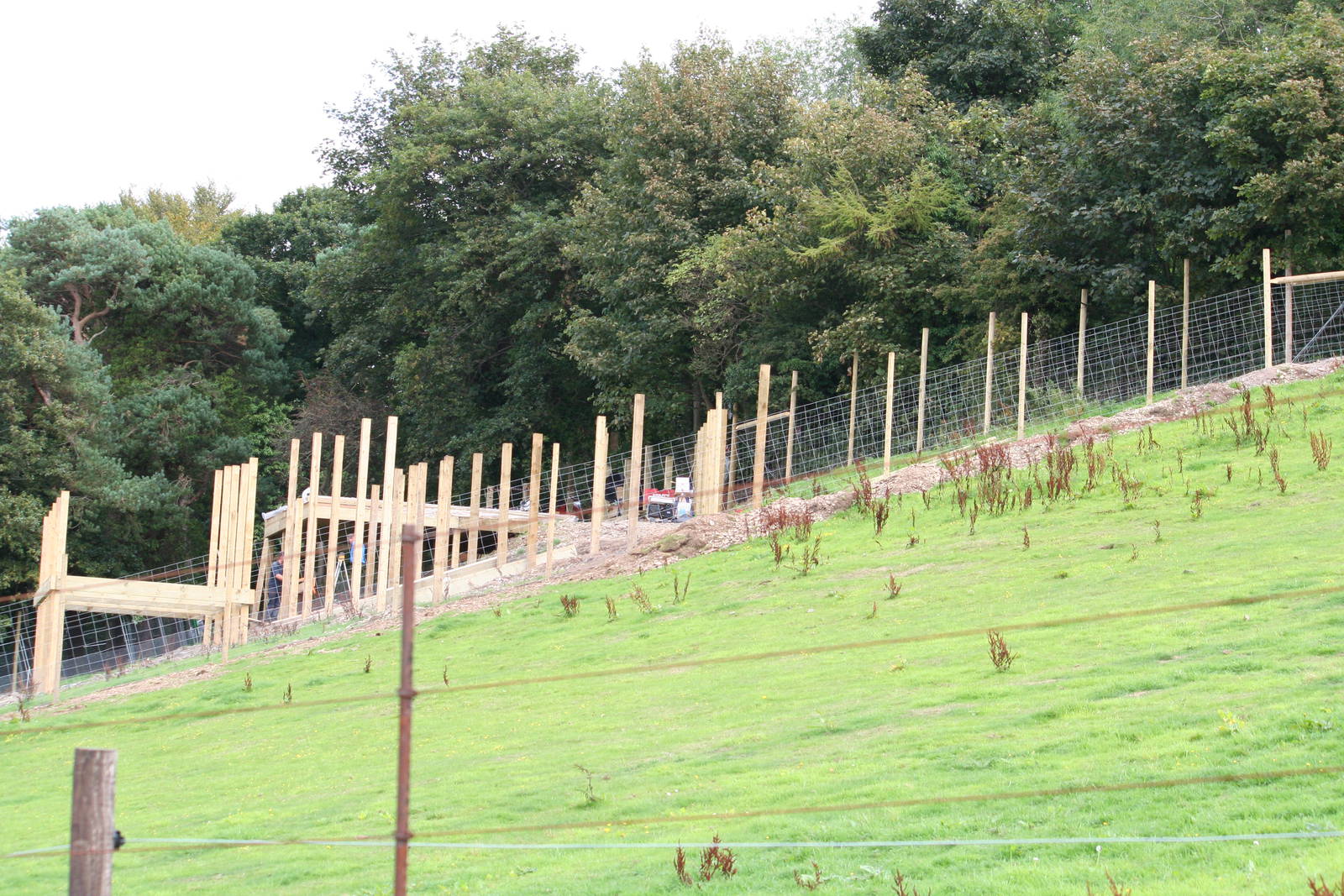 Lemur walkthrough construction