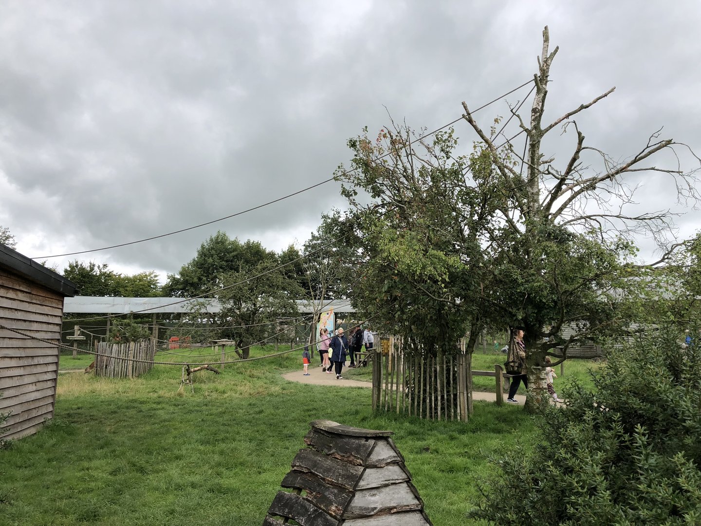 Lemur Walkthrough Enclosure at Peak Wildlife Park (August 2023)