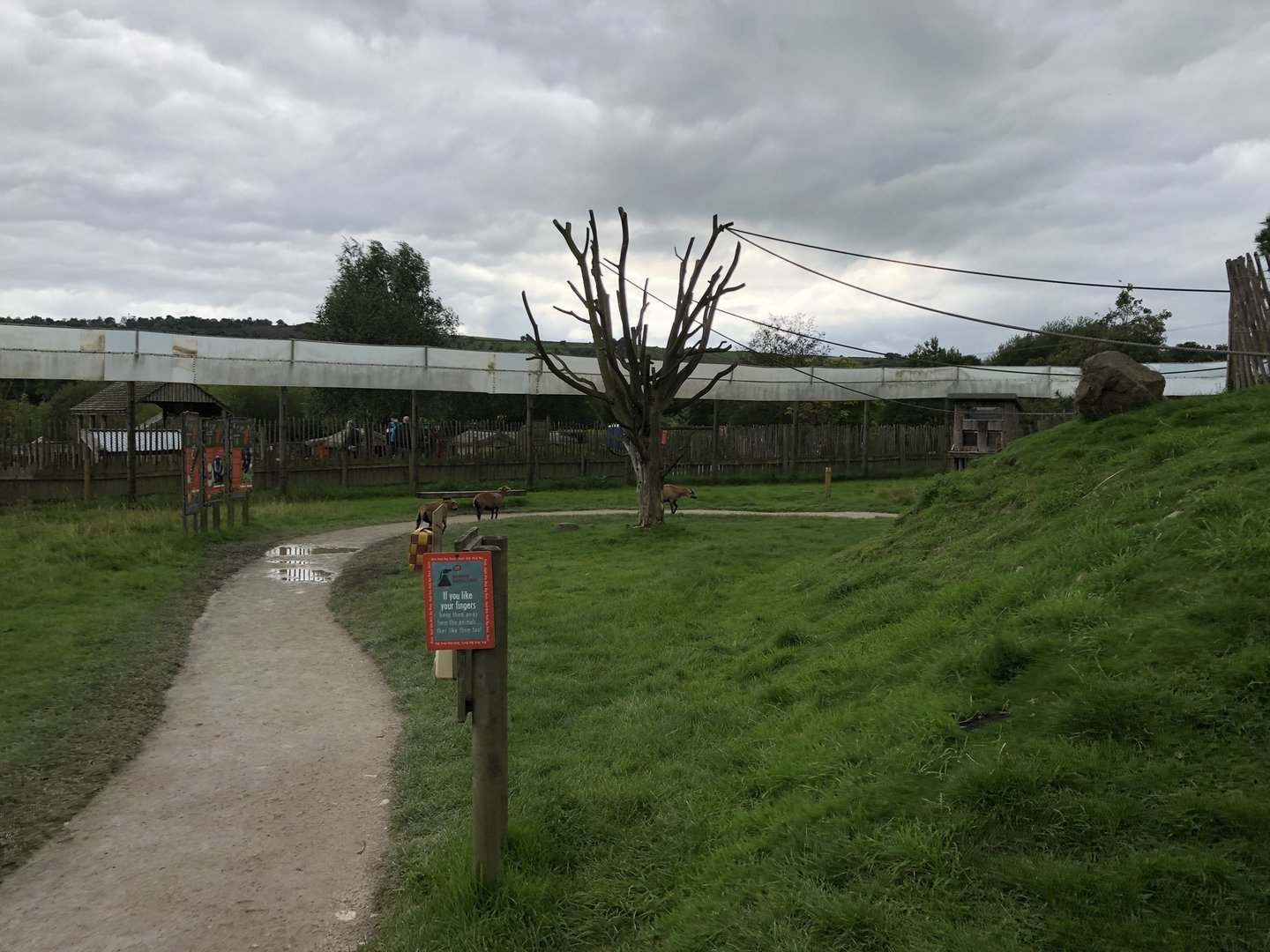 Lemur Walkthrough Enclosure at Peak Wildlife Park (August 2023)