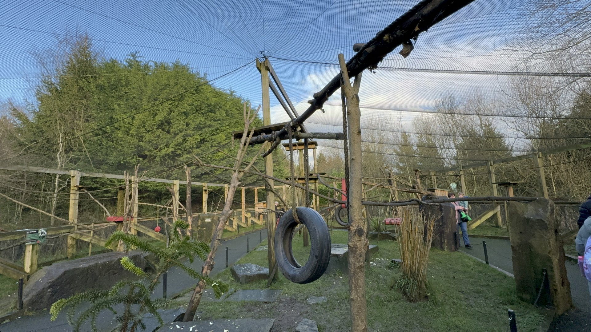 Lemur Walkthrough Enclosure at Ponderosa Zoo (January 2024)