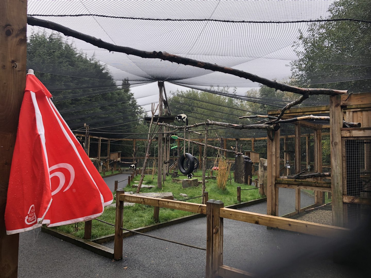 Lemur Walkthrough Enclosure at Ponderosa Zoo (October 2022)