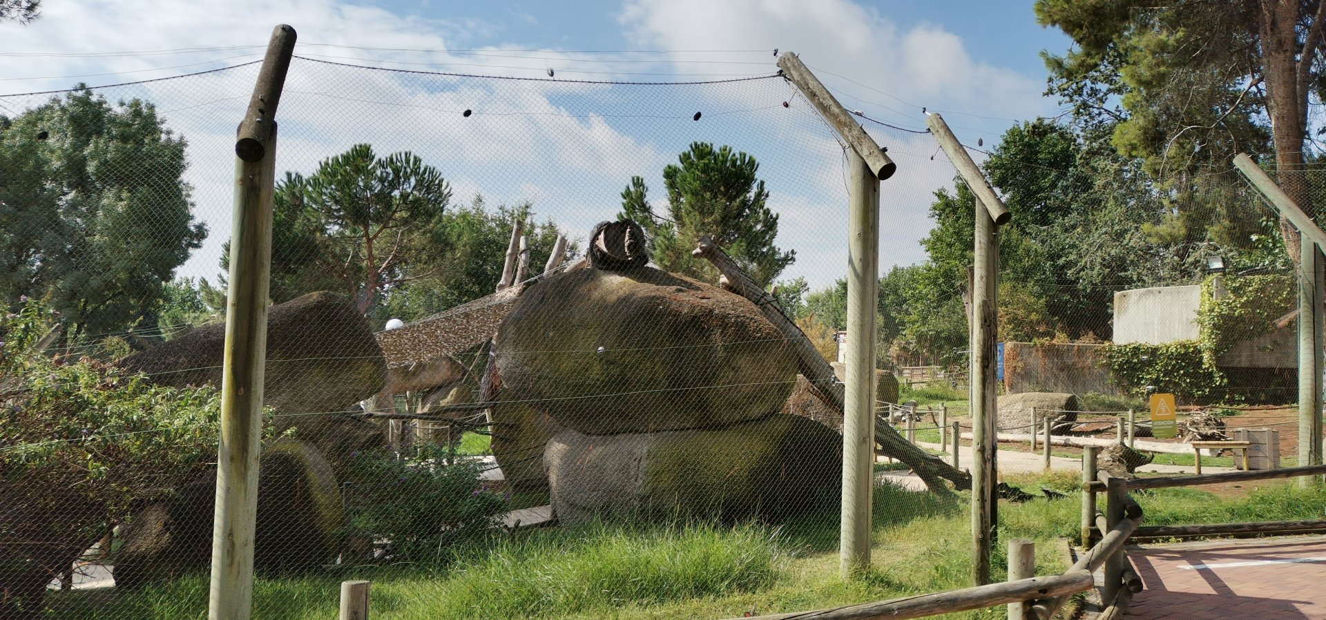 Lemur Walkthrough Enclosure