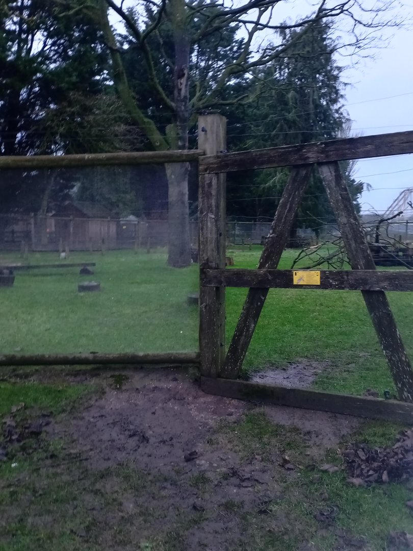 Lemur Walkthrough enclosure