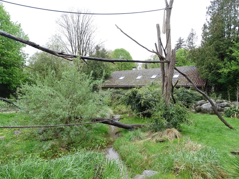 Lemur walkthrough enclosure