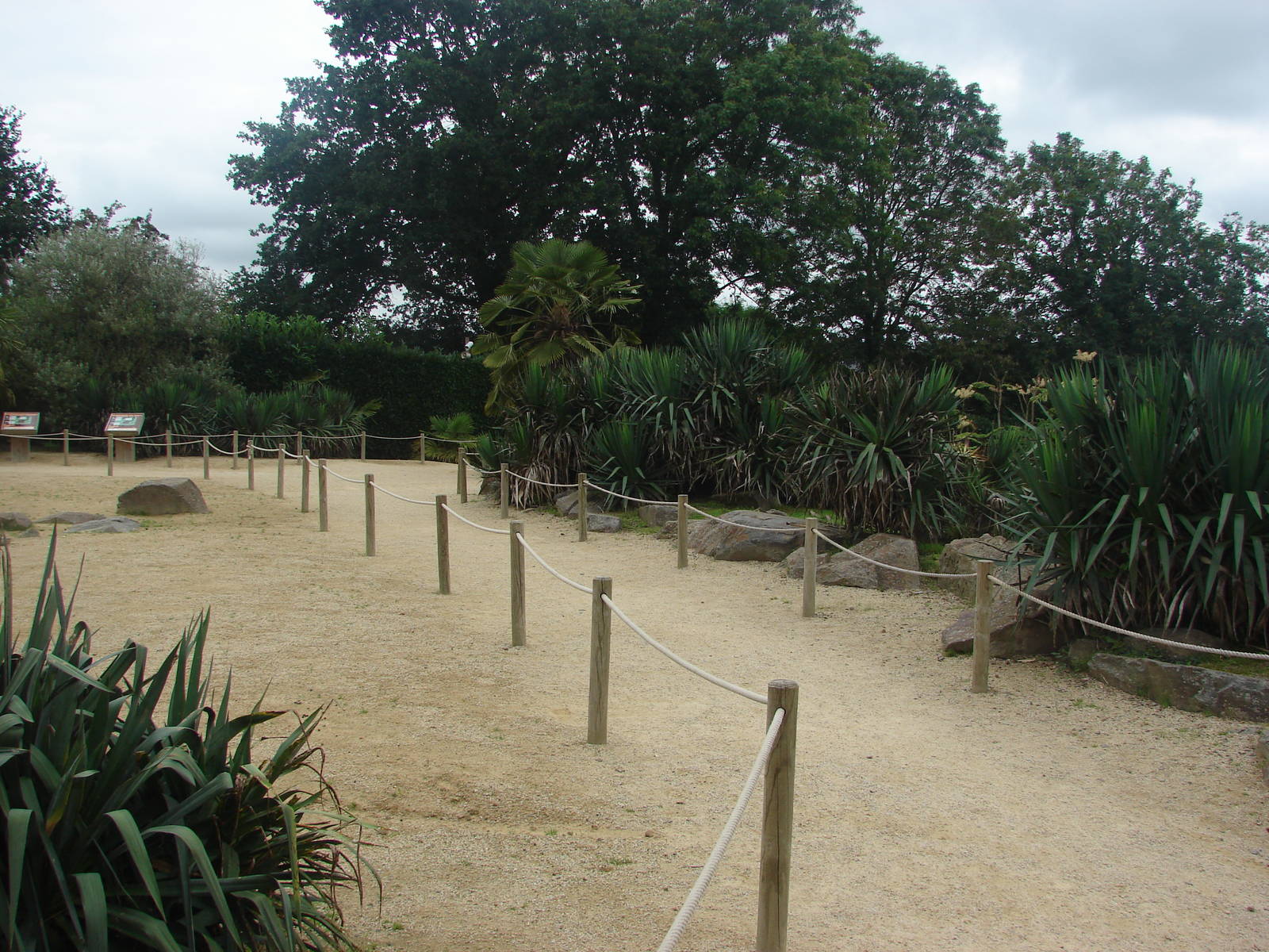 Lemur walkthrough exhibit