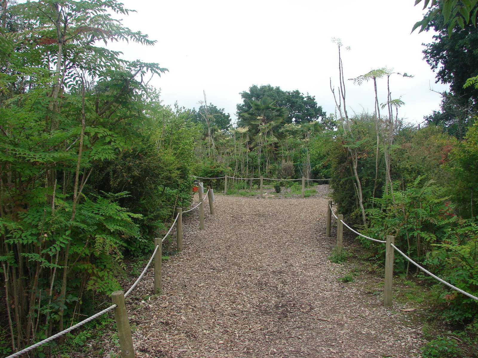 Lemur walkthrough exhibit