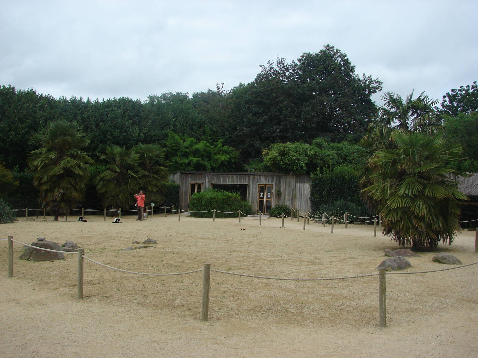 Lemur walkthrough exhibit
