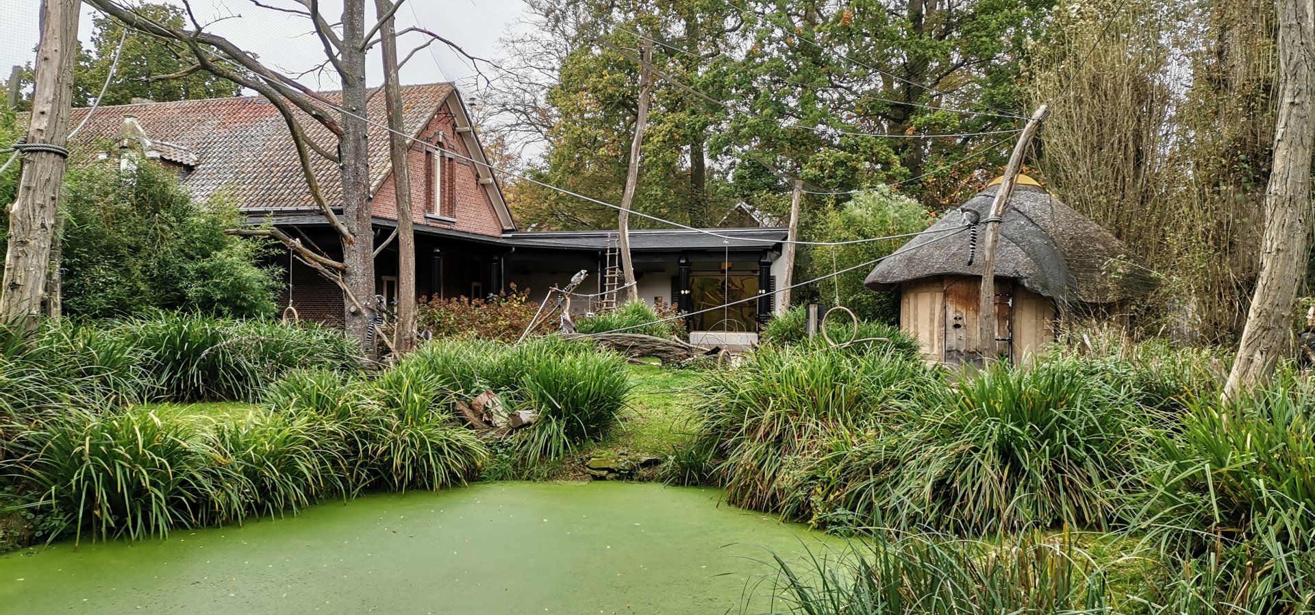 Lemur Walkthrough Exhibit