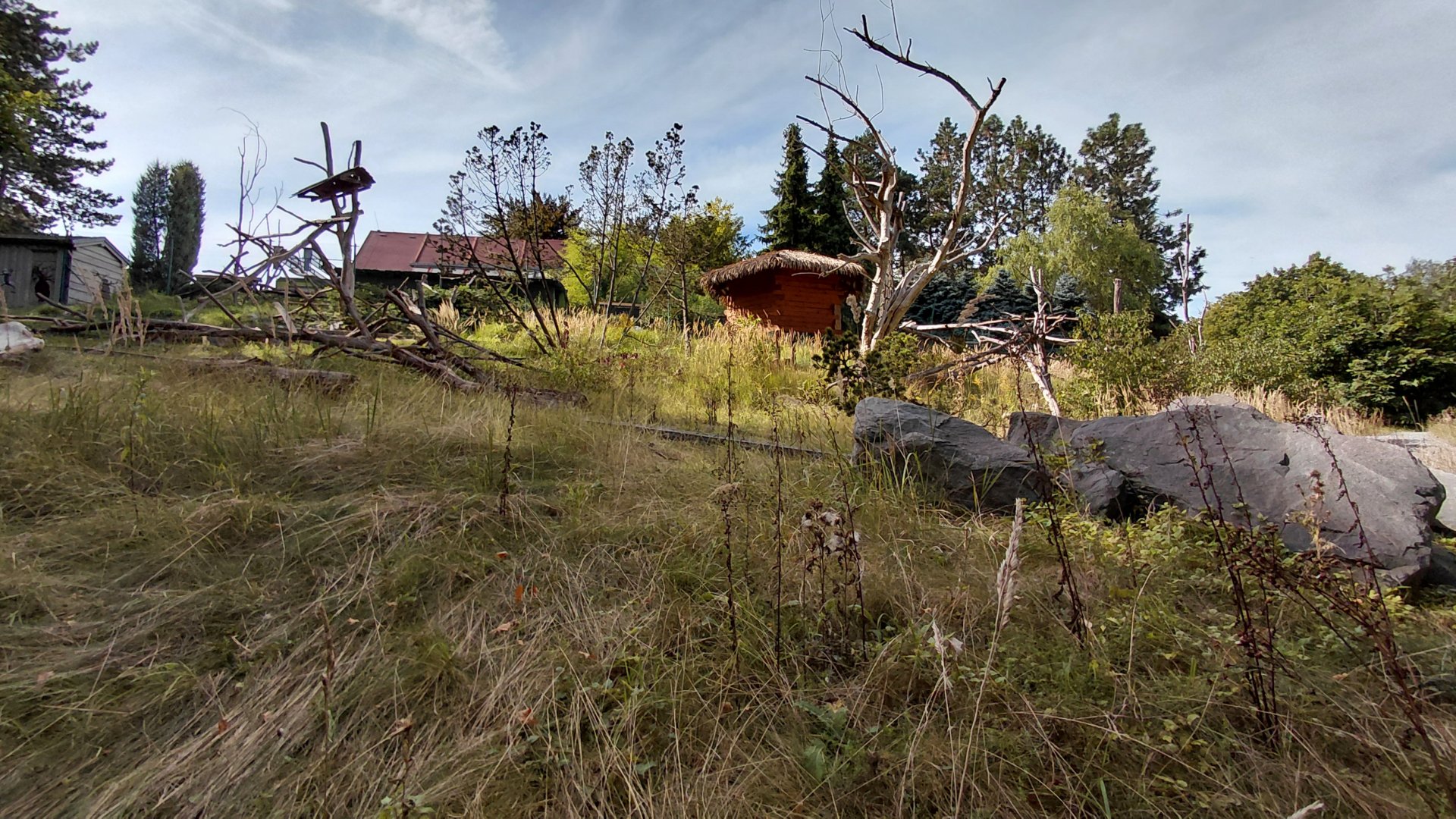 Lemur walkthrough exhibit