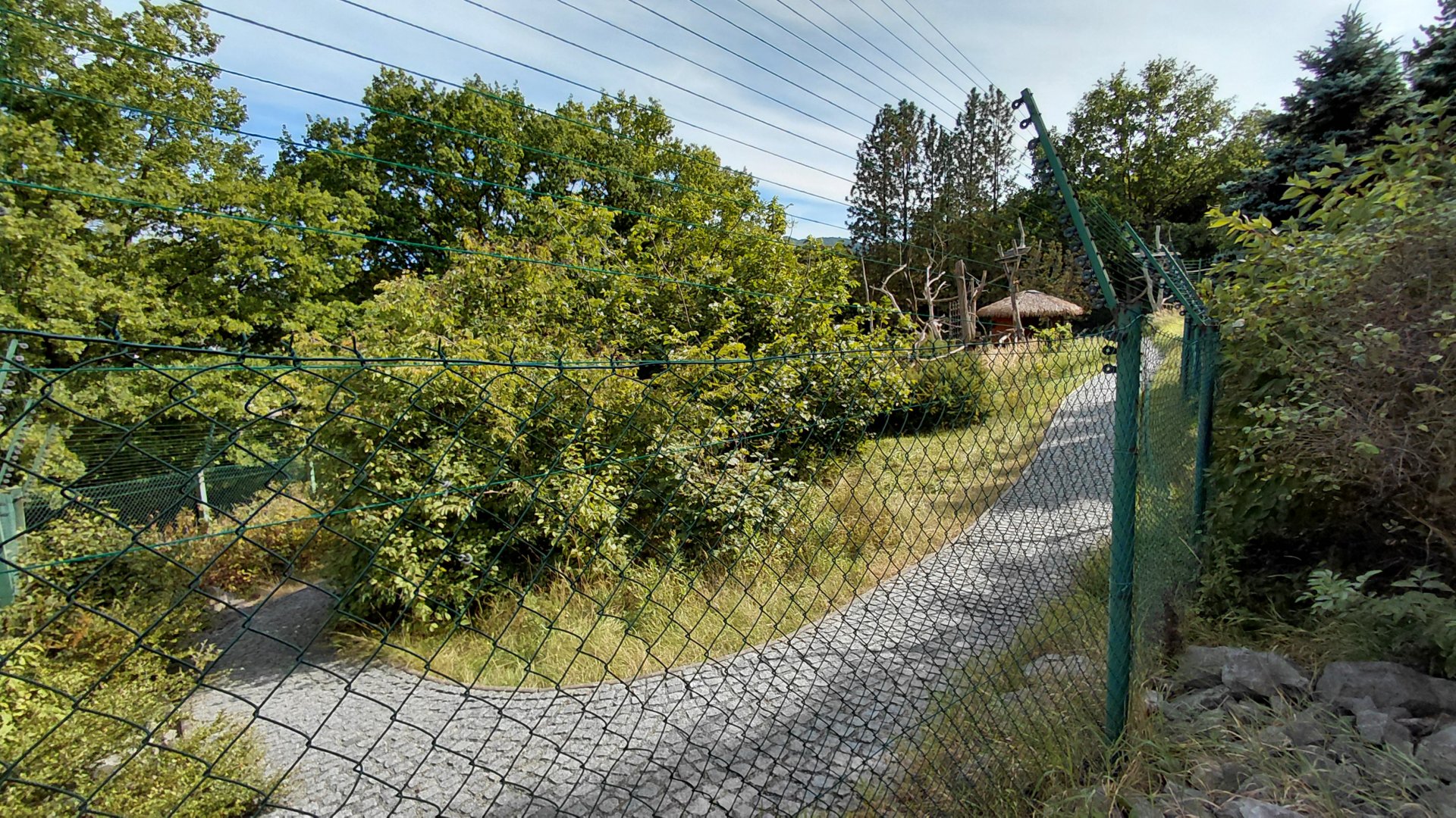 Lemur walkthrough exhibit