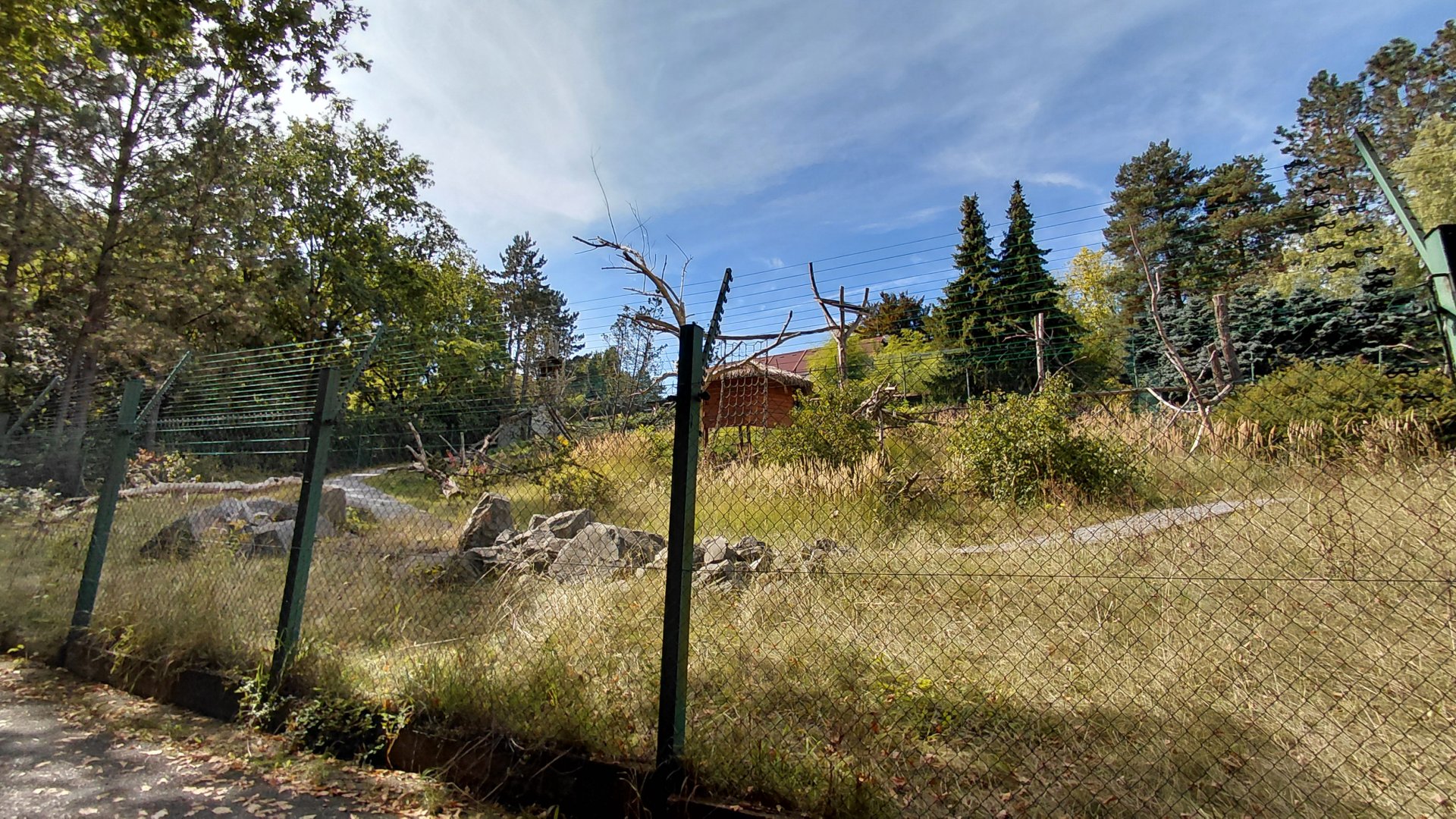 Lemur walkthrough exhibit