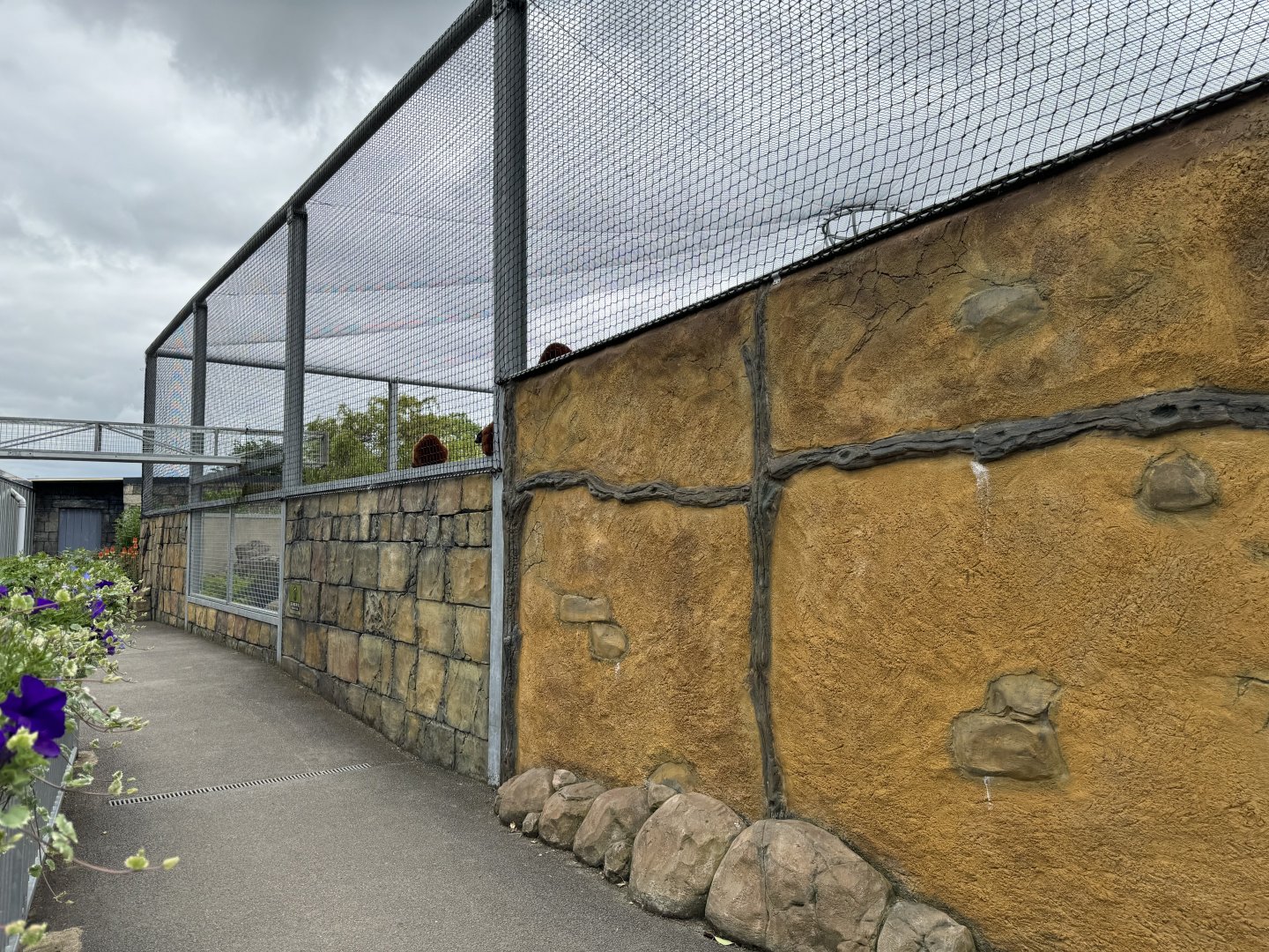 Lemur Walkthrough Exterior at Woodside Wildlife Park (May 2024)