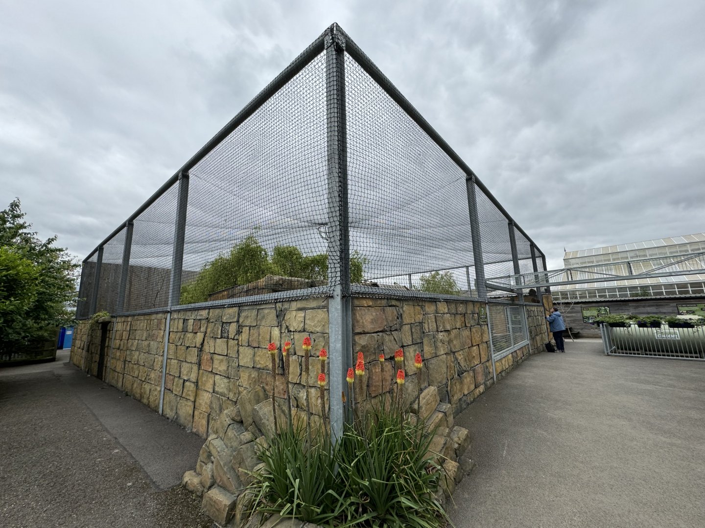 Lemur Walkthrough Exterior at Woodside Wildlife Park (May 2024)