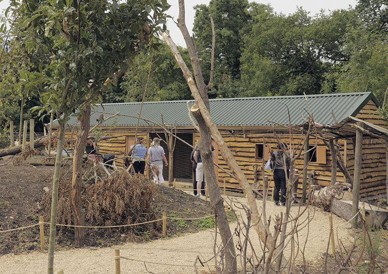 Lemur walkthrough indoor housing