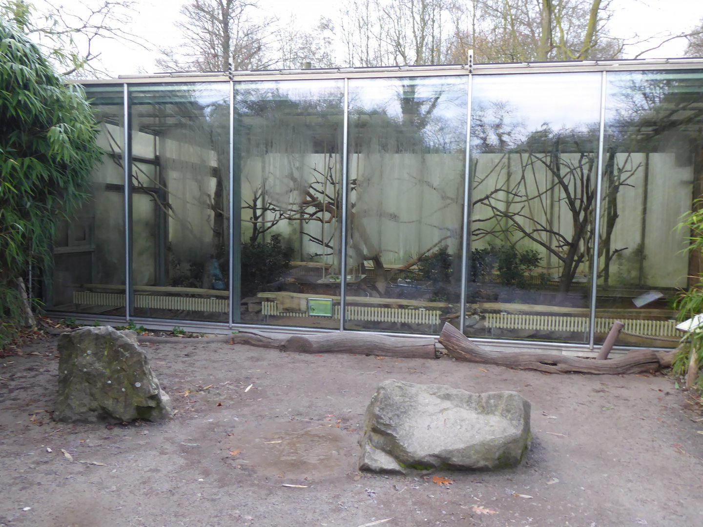 Lemur walkthrough - indoors for Ring-tailed lemurs and Black lemurs 011219